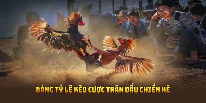 Bảng tỷ lệ kèo cược trận đấu chiến kê