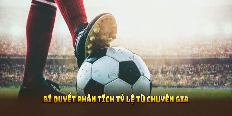 Bí quyết phân tích tỷ lệ từ chuyên gia