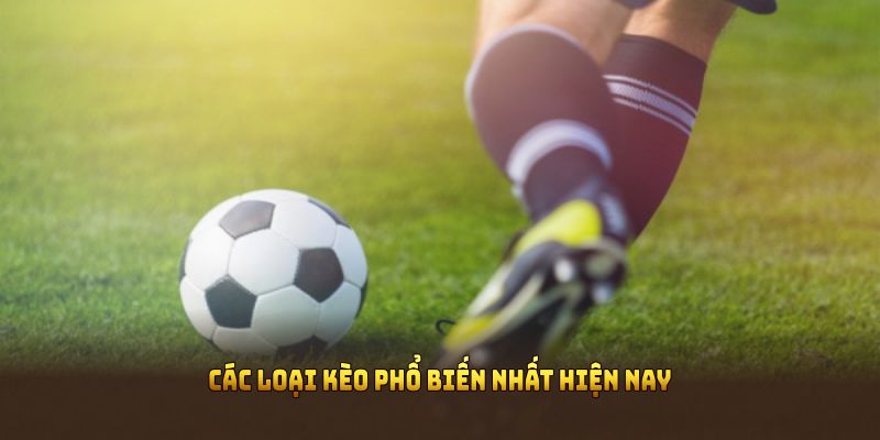 Các loại kèo phổ biến nhất hiện nay