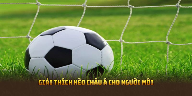 Giải thích kèo châu Á cho người mới