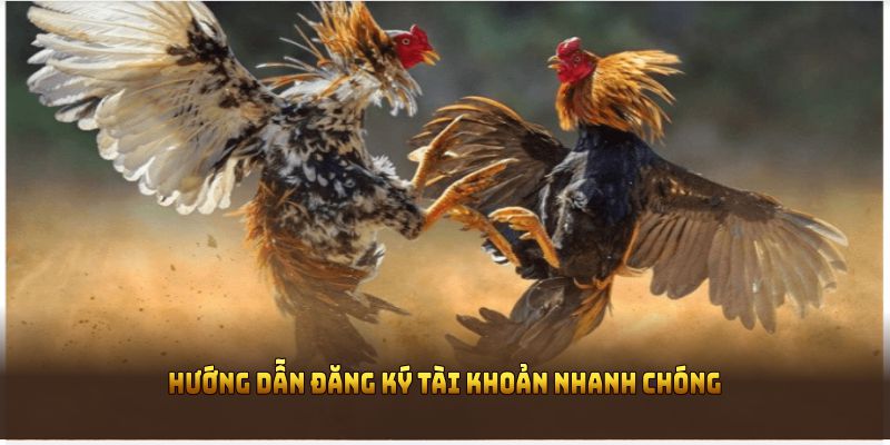 Hướng dẫn đăng ký tài khoản nhanh chóng