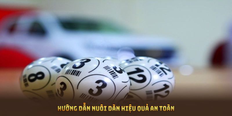 Hướng dẫn nuôi dàn hiệu quả an toàn