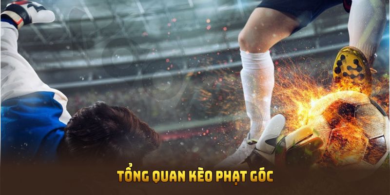 Tổng quan kèo phạt góc cho thành viên mới