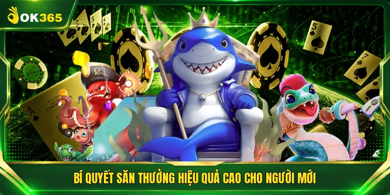 Bí quyết săn thưởng hiệu quả cao cho người mới