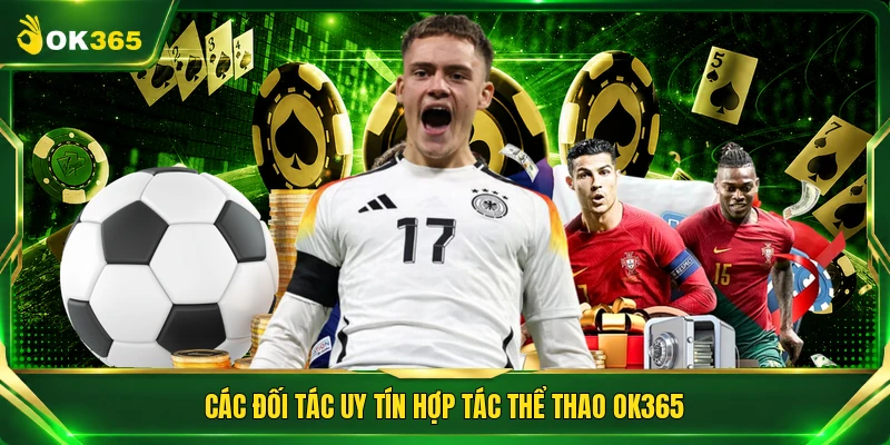 Các đối tác uy tín hợp tác thể thao OK365